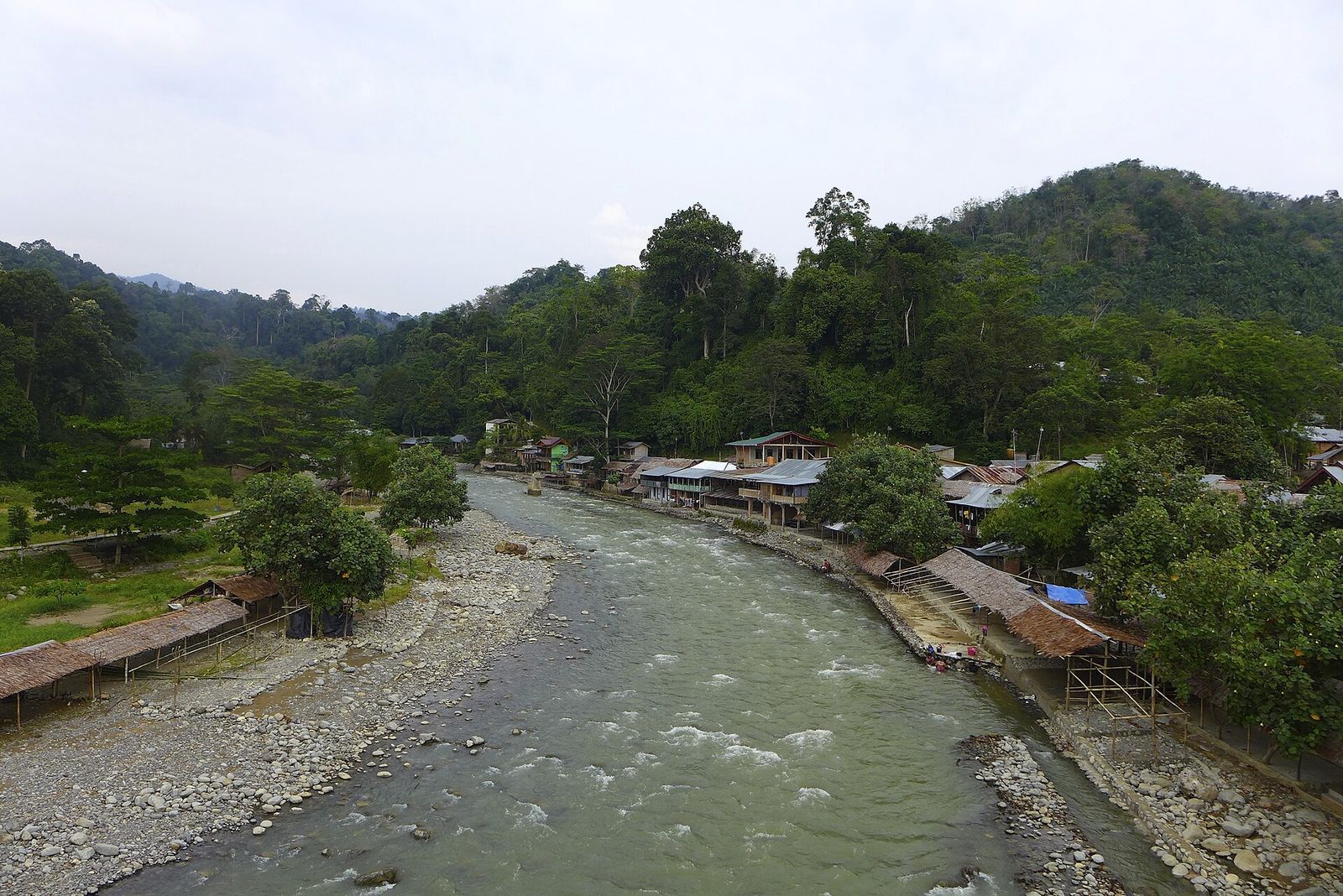 Bukit Lawang
